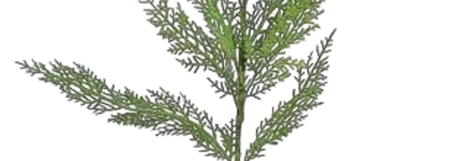 Cedar Spray | The Holiday Floral Collection, Cedar Green - 44 Inch