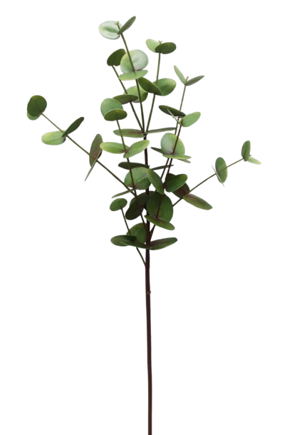 Eucalyptus | The Floral Collection, Light Green - 33.5 Inch