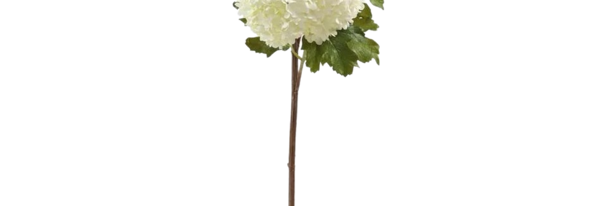 Snowball | The Floral Collection, White - 32.5 Inch