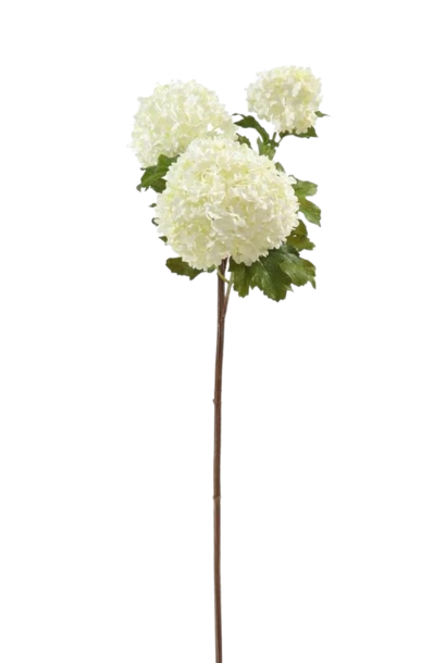 Snowball | The Floral Collection, White - 32.5 Inch