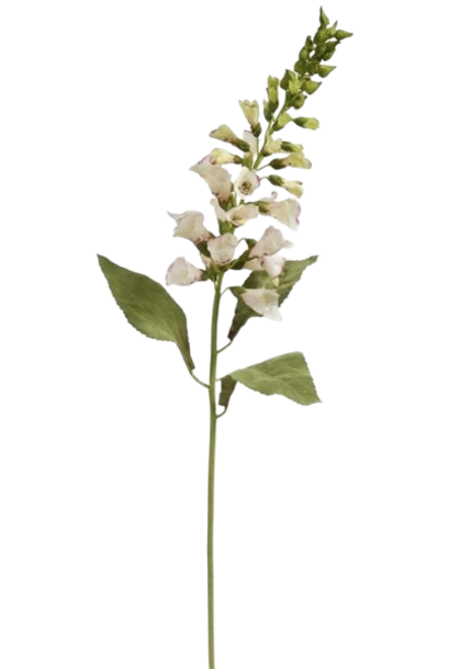 Foxglove | The Floral Collection, Cream & Wine - 11 Inch x 6 Inch x 31.5 Inch
