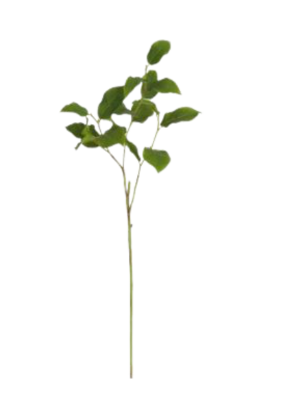 Salal Leaf | The Floral Collection  - 13 Inch x 10  Inch x 32.5 Inch