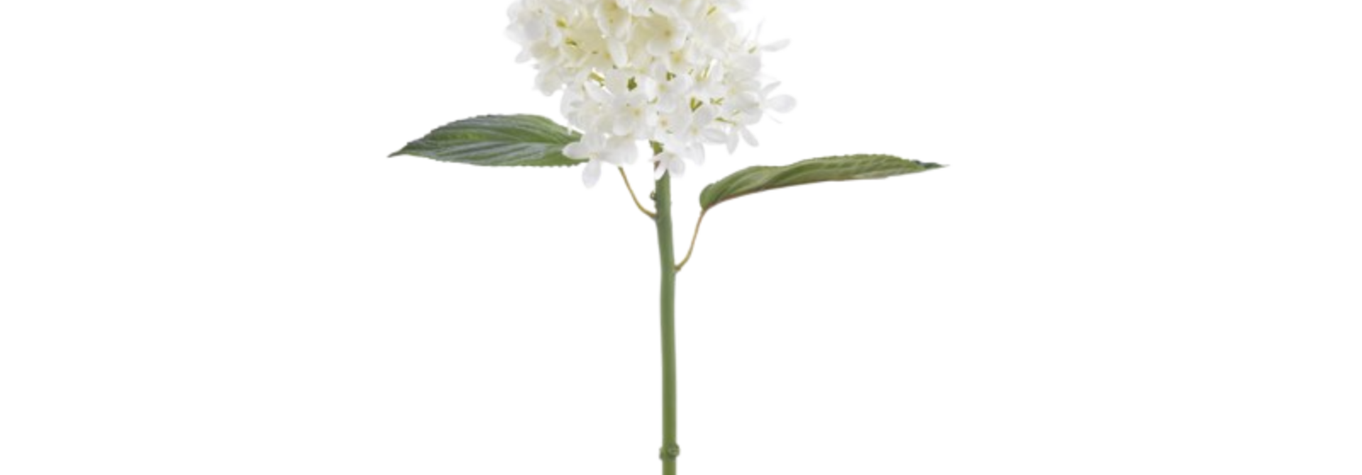 Hydrangea | The Floral Collection, White - 10 Inch x 5 Inch x 21 Inch