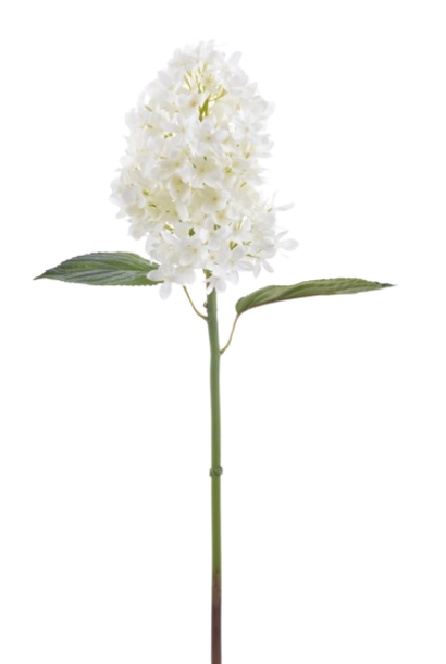 Hydrangea | The Floral Collection, White - 10 Inch x 5 Inch x 21 Inch