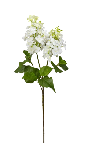 Lilac | The Floral Collection, White - 8 Inch x 8 Inch x 27.5 Inch