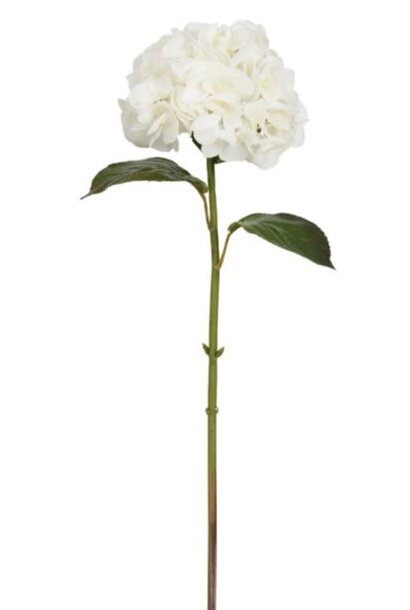 Hydrangea | The Floral Collection, White - 11 Inch x 8 Inch x 29 Inch