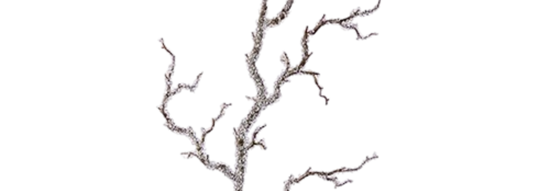 Iced Branch | The Holiday Floral Collection, Crystal - 39 Inch