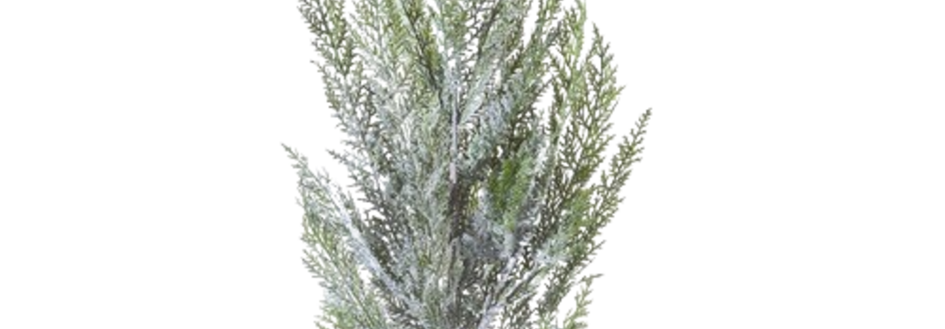 Snowy Cedar | The Holiday Floral Collection, Green - 47 Inch