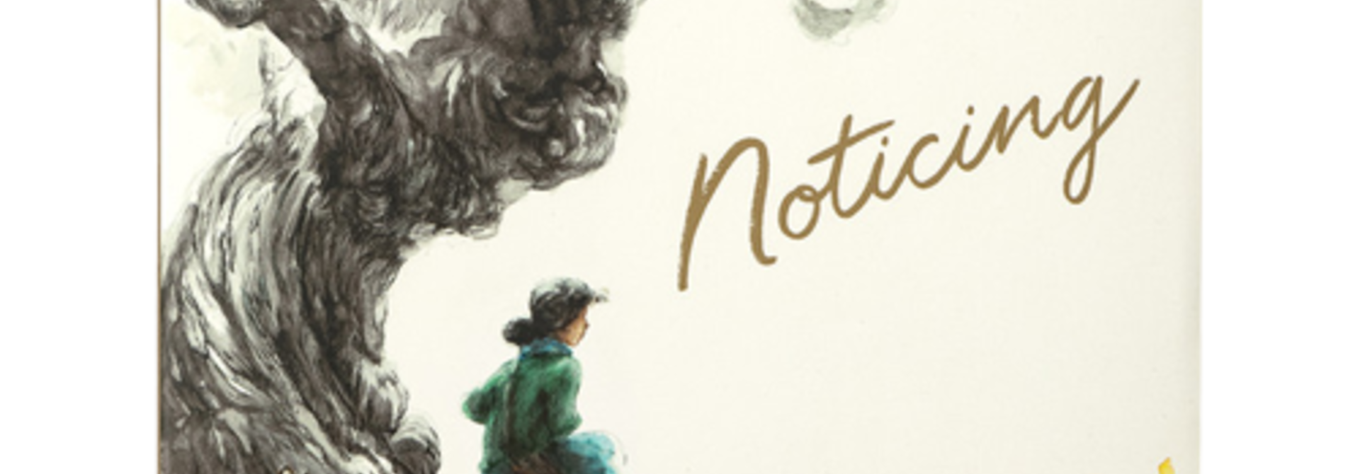 Noticing | The Children's Book Collection