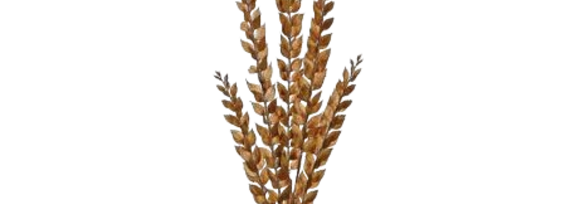 Metallic Spike Leaf | The Floral Collection, Bronze - 37 Inch