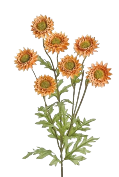 Strawflower | The Floral Collection, Tobacco - 25 Inch