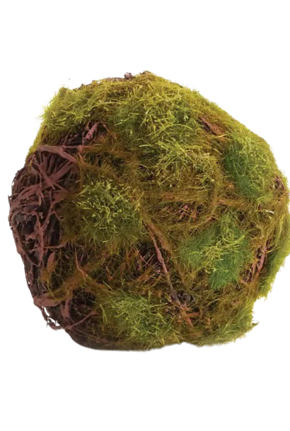 Moss Orb | The Filler Collection, 4.5 Inch x 4.5 Inch x 4.5 Inch