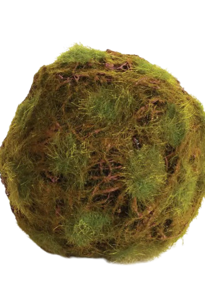 Moss Orb | The Filler Collection, 5.5 Inch x 5.5 Inch x 5.5 Inch