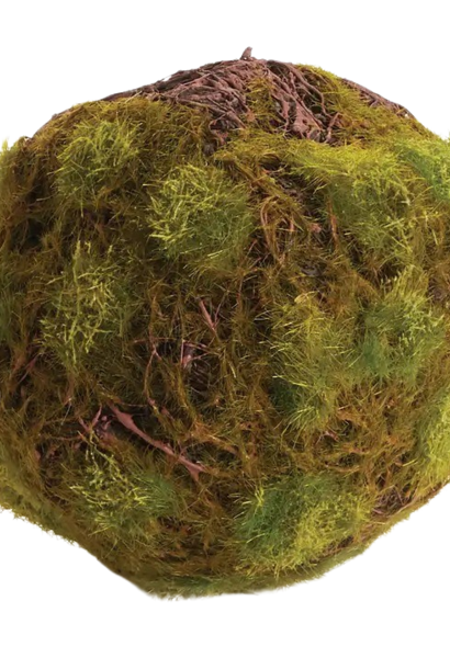 Moss Orb | The Filler Collection, 7.5 Inch x 7.5 Inch x 7.5 Inch
