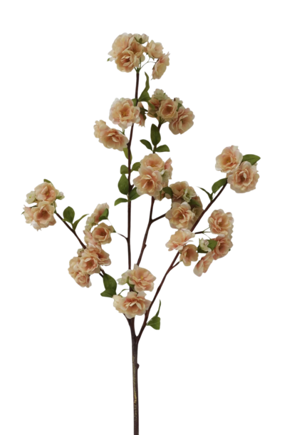 Peach Blossom | The Floral Collection, Blush - 47 Inch