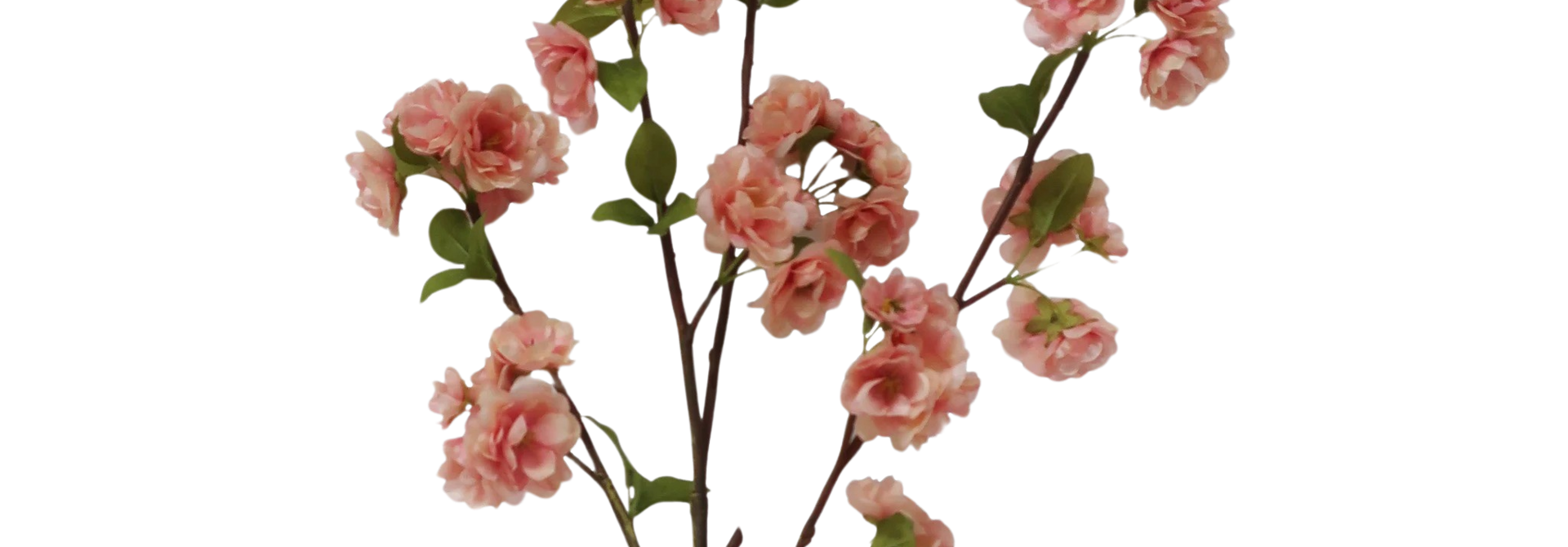 Peach Blossom | The Floral Collection, Pink - 47 Inch