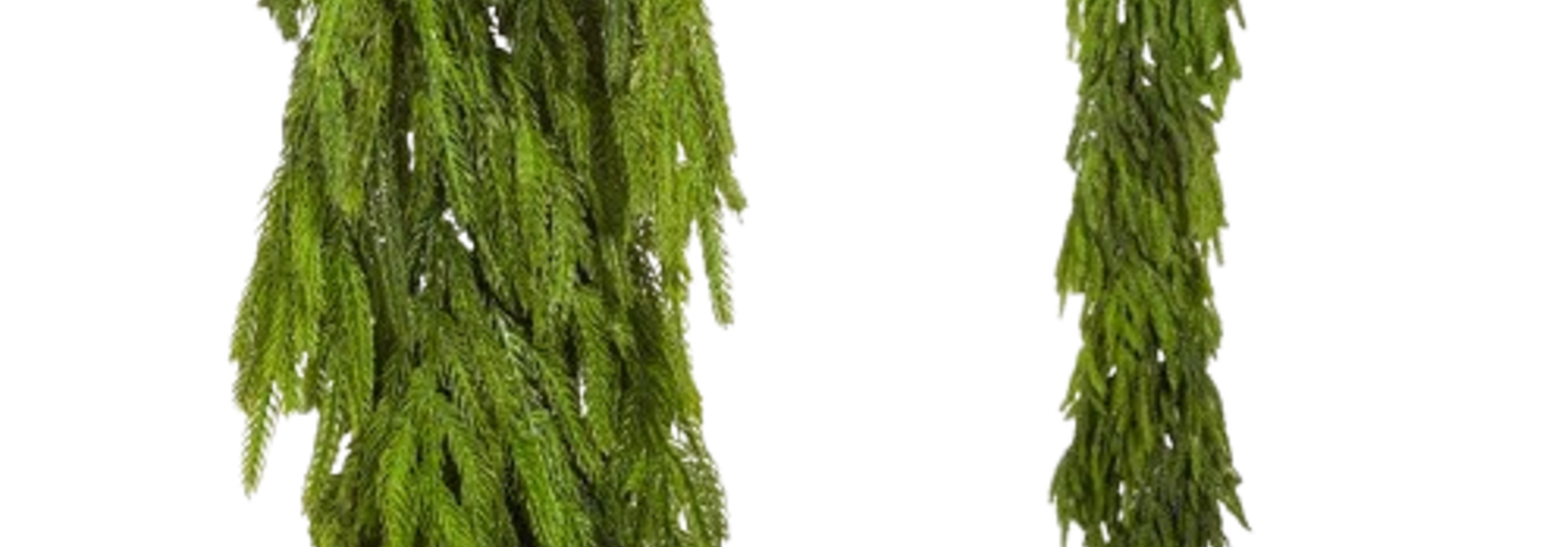 Norfolk Pine | The Holiday Garland Collection, Green - 9 Inch x 9 Inch x 72 Inch