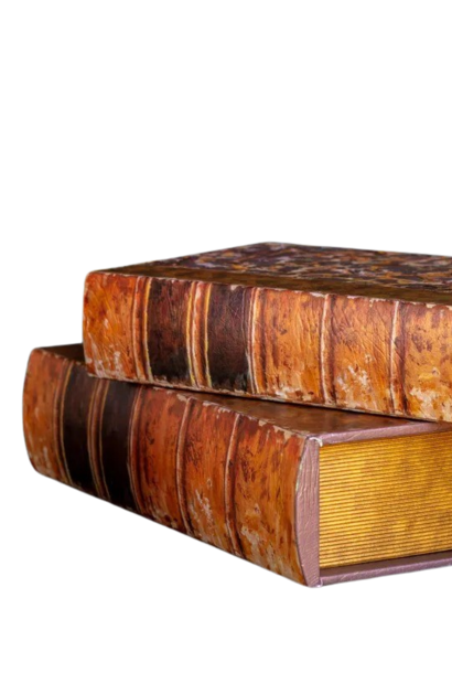 Dominic | The Decorative Book Collection, Brown Multi - 12 Inch x 8.5 Inch x 3 Inch