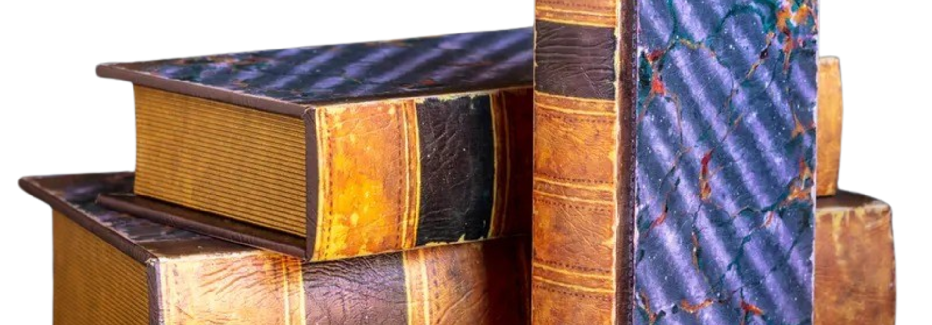 Artemis | The Decorative Book Collection, Navy Multi - 12 Inch x 8.5 Inch x 3 Inch