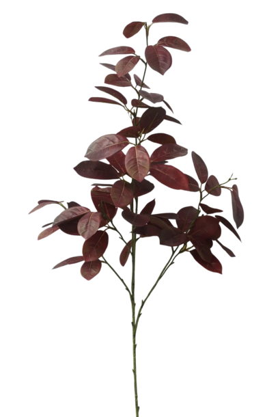 Euphorbia Cotinifolia | The Floral Collection, Burgundy - 12 Inch x 12 Inch x 41 Inch