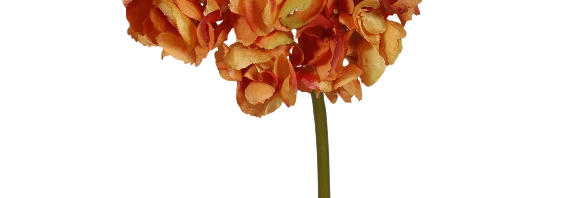 Hydrangea | The Floral Collection, Autumn Gold - 9 Inch x 9 Inch x 19 Inch