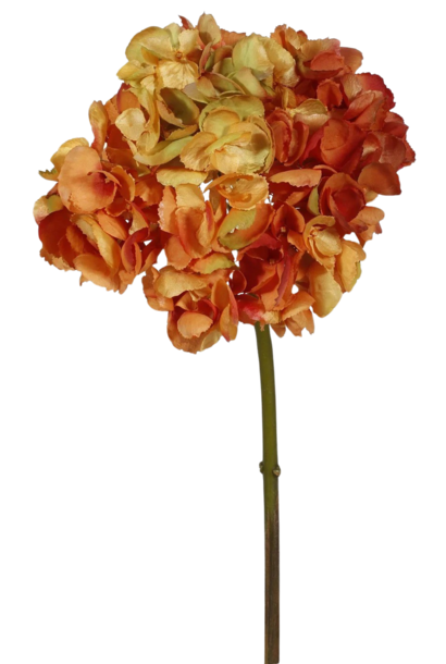 Hydrangea | The Floral Collection, Autumn Gold - 9 Inch x 9 Inch x 19 Inch