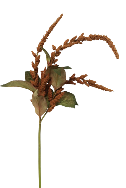 Amaranthus | The Floral Collection, Burgundy - 12 Inch x 10 Inch x 45 Inch