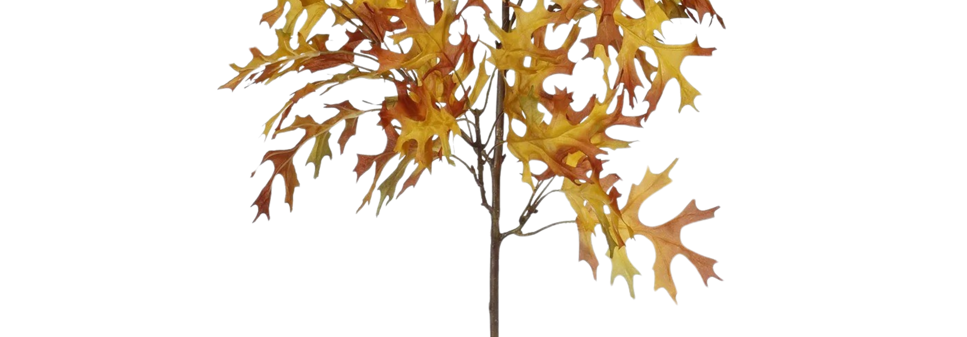 Oak Leaf | The Floral Collection, Brown - 14 Inch x 12 Inch x 37.5 Inch