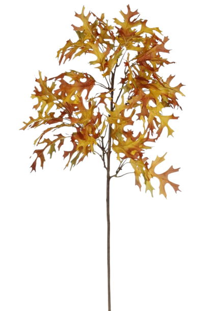 Oak Leaf | The Floral Collection, Brown - 14 Inch x 12 Inch x 37.5 Inch