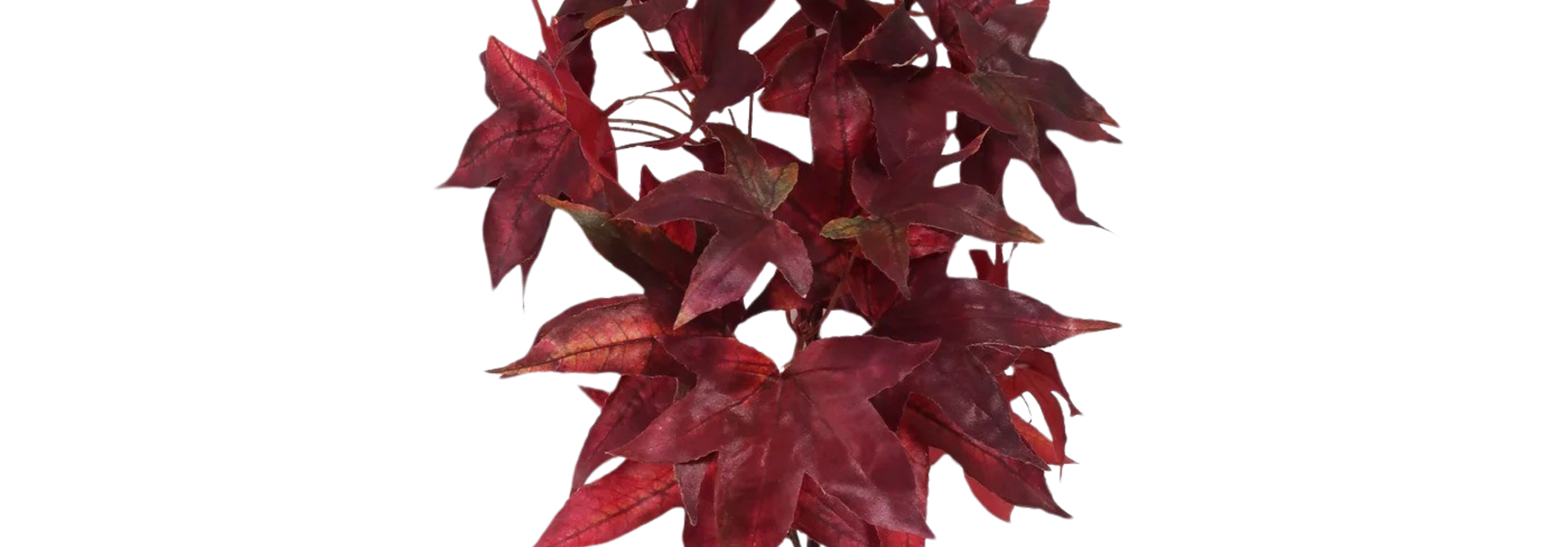 Maple | The Floral Collection, Ruby - 10 Inch x 8 Inch x 30 Inch