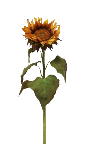 Sunflower | The Floral Collection, Golden Brown - 8 Inch x 7 Inch x 30 Inch