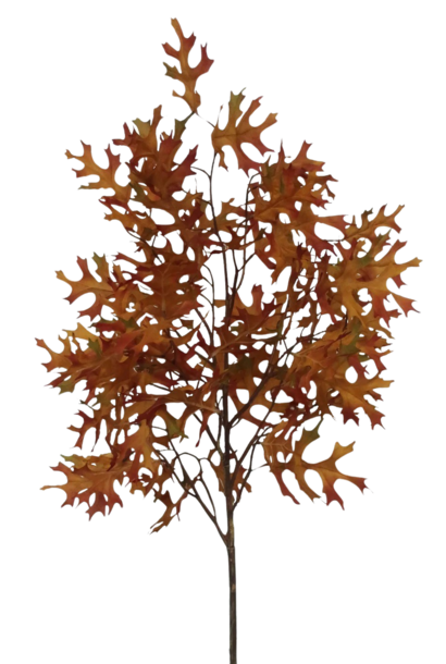 Oak Leaf | The Floral Collection, Golden Brown - 13 Inch x 13 Inch x 45 Inch
