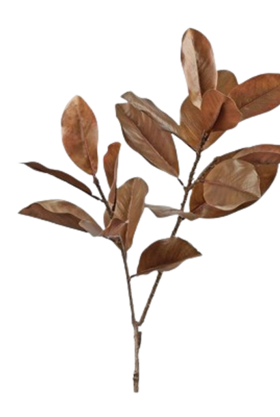 Magnolia Leaf | The Floral Collection, Umber - 15 Inch x 16 Inch x 45 Inch