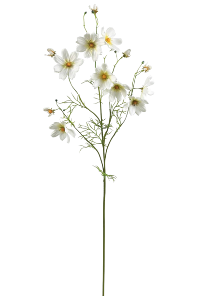 Cosmos | The Floral Collection, White - 10 Inch x 8 Inch x 37 Inch