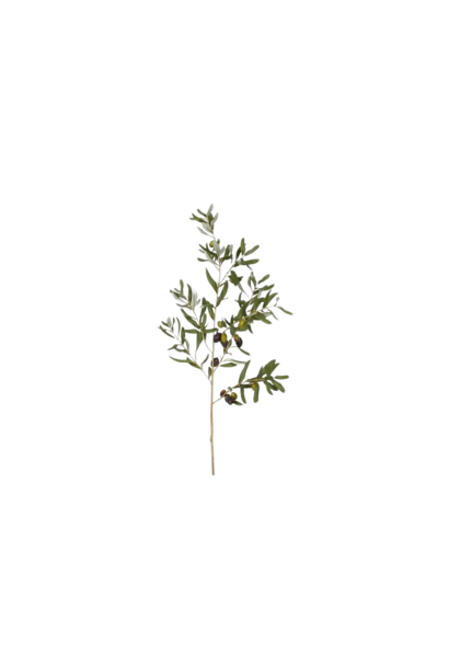Olive Leaf Branch | The Floral Collection, Green - 10 Inch x 7 Inch x 46 Inch