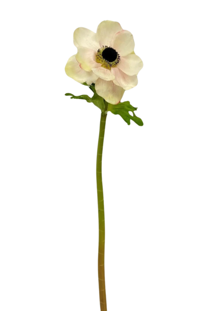 Poppy | The Floral Collection, Pink & Green - 3 Inch x 3 Inch x 15.5 Inch