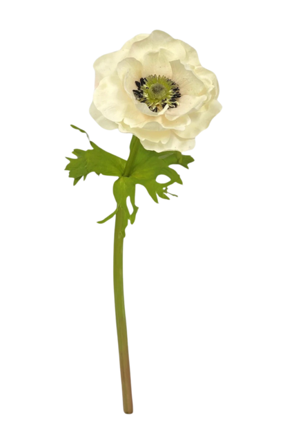 Poppy | The Floral Collection, Ivory - 4 Inch x 3 Inch x 17.5 Inch