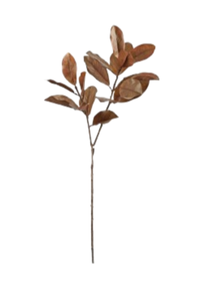 Magnolia Leaf | The Floral Collection, Spice - 15 Inch x 16 Inch x 45 Inch