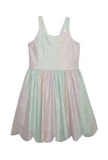 Sparkle and Shine Tulle Dress