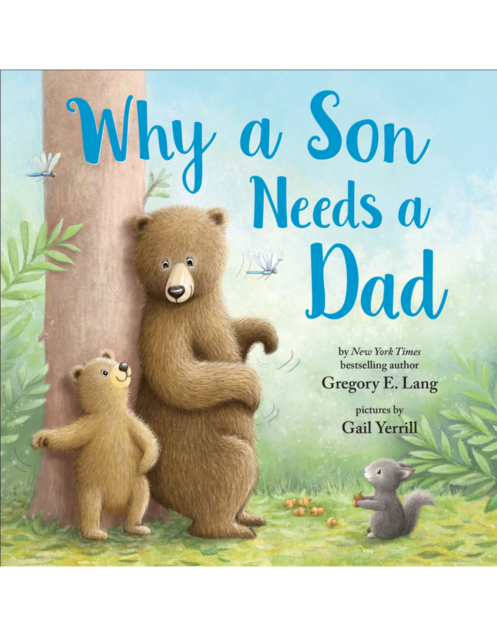 Sourcebooks Why a Son Needs a Dad