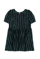 Dancing in the Dew Velvet Dress