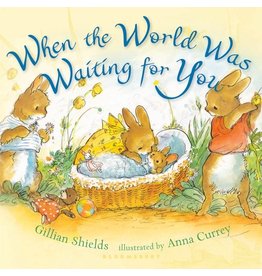 Macmillan Publishers When The World Was Waiting For You Board Book