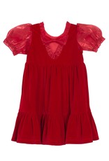 Noella Organza Sleeve Velvet  Dress