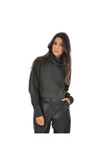 RD Style - Noelle Cropped Turtleneck