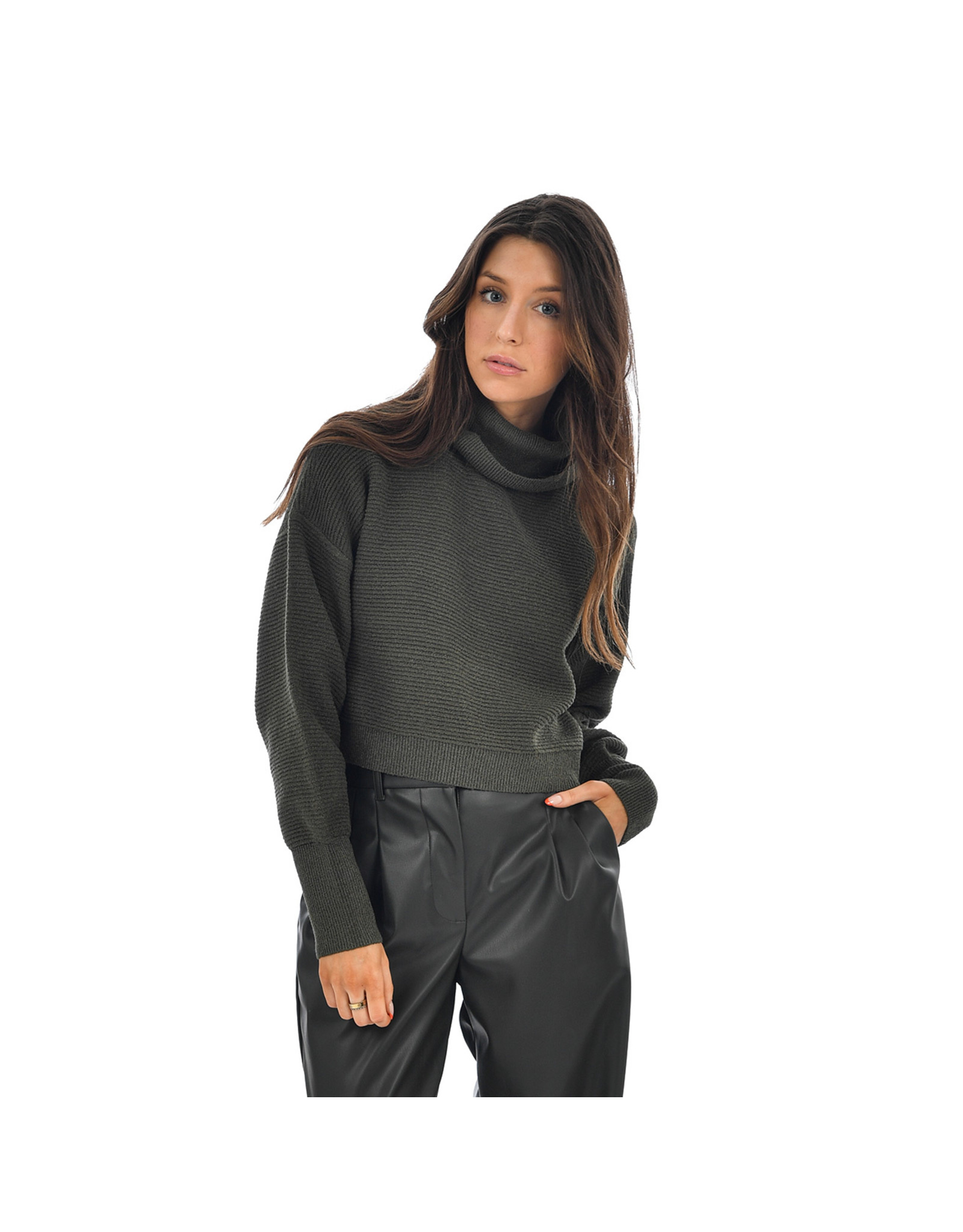RD Style - Noelle Cropped Turtleneck