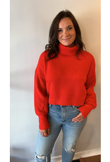 RD Style Noelle Cropped Turtleneck