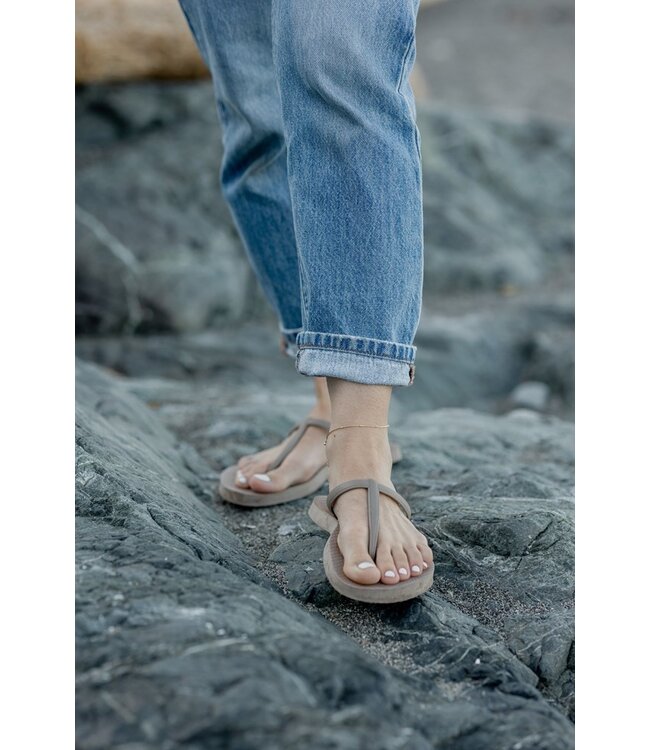 Glee Charli Anklet *silver + gold