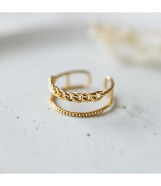 Glee Tessa Ring  (gold + silver)