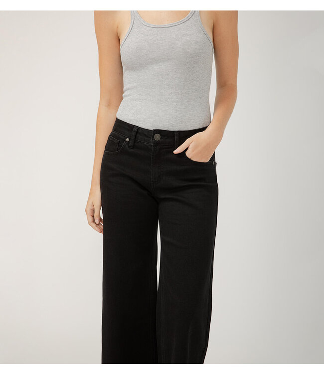 Silver Jeans Suki Ankle Wide leg