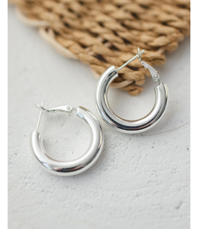 Glee Optimal Hoops  (silver + gold)